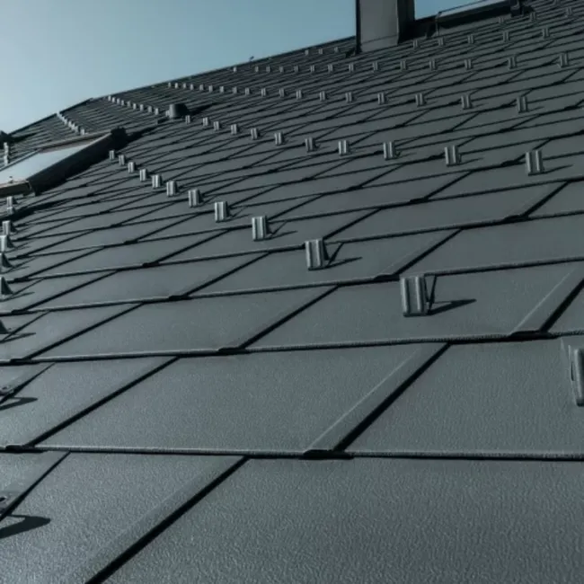 DS.19 ROOF SHINGLE